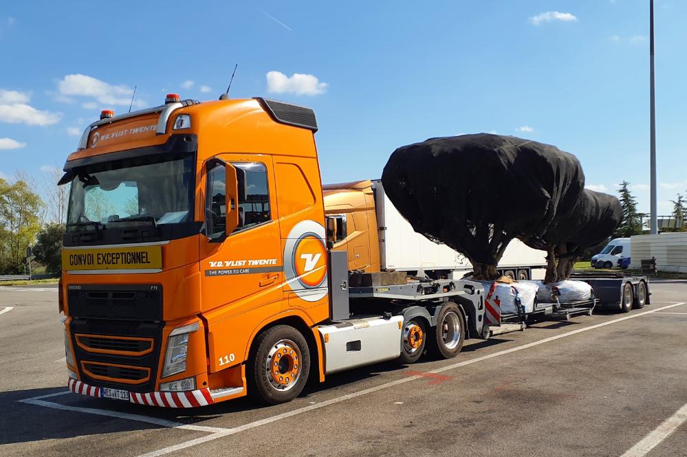 Relocalisation de géants vivants