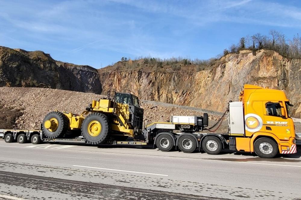 When the Cat is away...